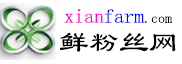 X- Twitter 旧作品 赞|转推|点评|NFT - Twitter推广 - twitter买粉 tiktok买粉丝网